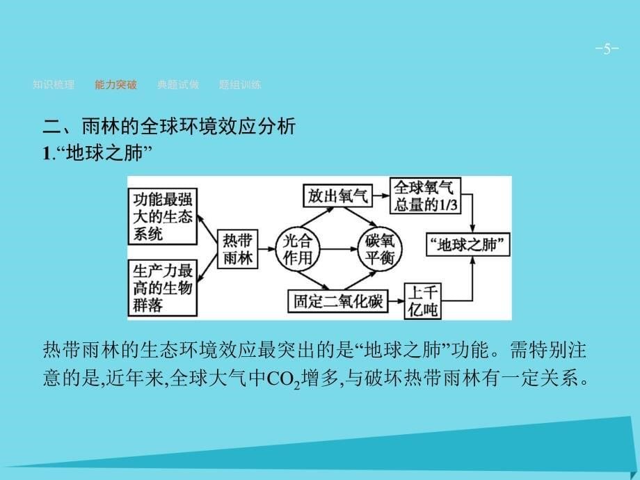 高优设计高考地理一轮复习_13.2 森林的开发和保护-以亚马孙热带雨林为例课件 新人教版_第5页