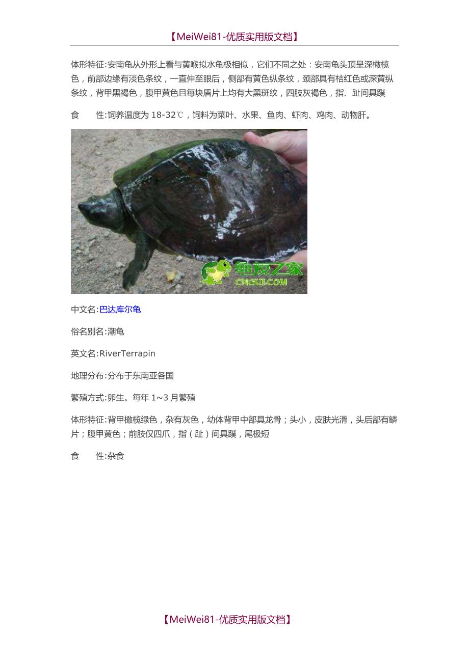 【8A版】常见水龟品种大全_第3页
