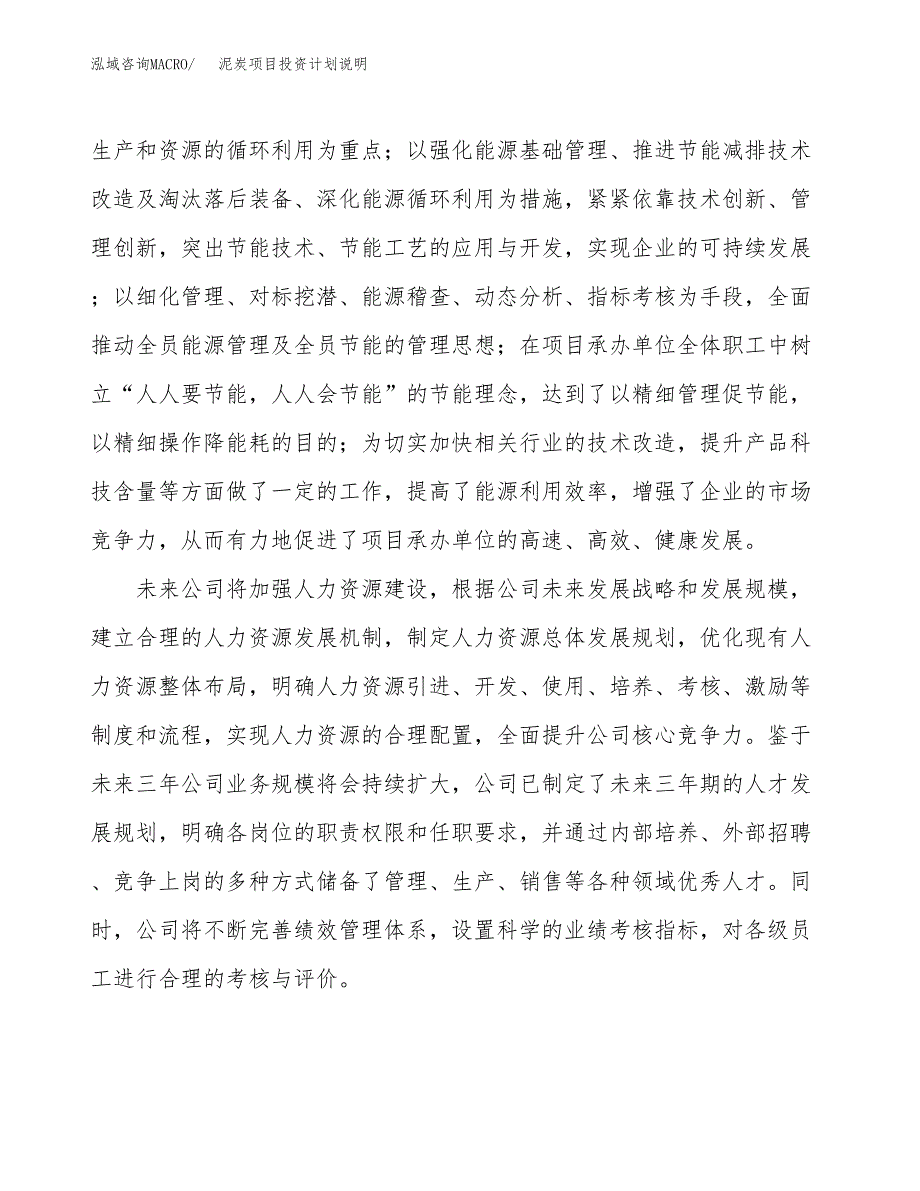 泥炭项目投资计划说明.docx_第2页