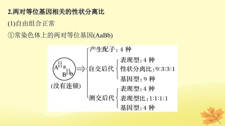 （通用版）2019版高考生物二轮复习_专题五 基因的传递规律 考点14 遗传规律相关“比例”与“实质”课件_第5页