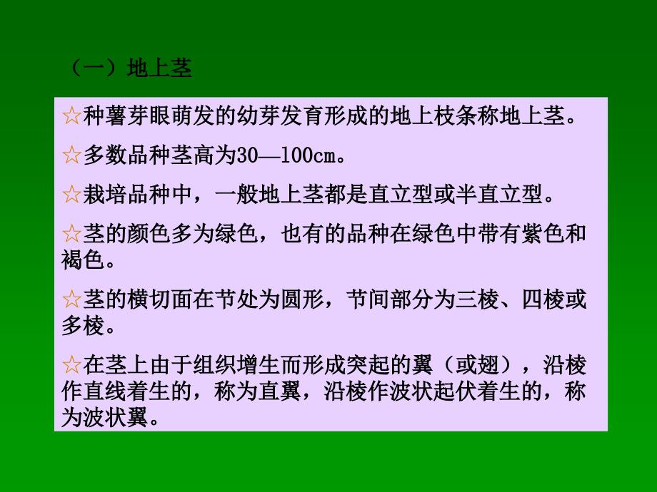 马铃薯的 形态 特征课件_第4页