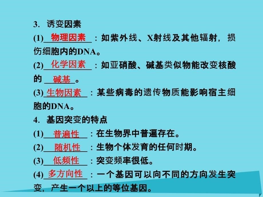 高考高考生物一轮复习_第五章 基因突变及其他变异（第二十四课时）第1节 基因突变和基因重组课件 新人教版必修2_第5页