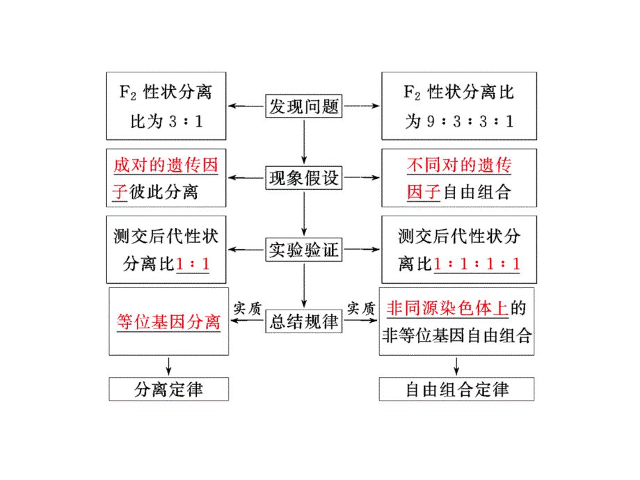 2016年高中生物二轮复习遗传规律与伴性遗传(难点增分课)_第3页