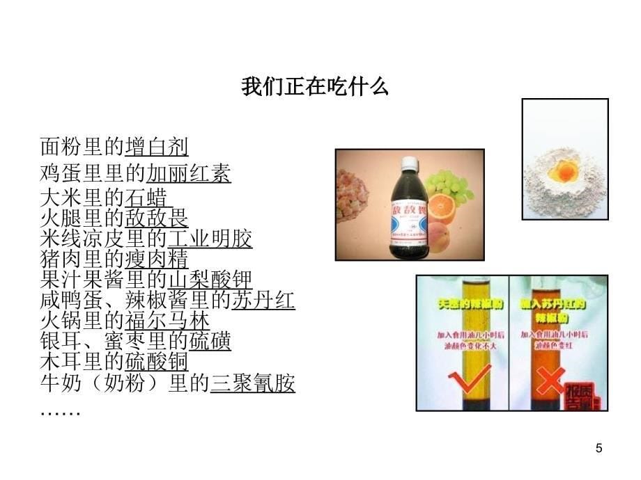 2007年盛世粮仓食品品牌研讨会_第5页