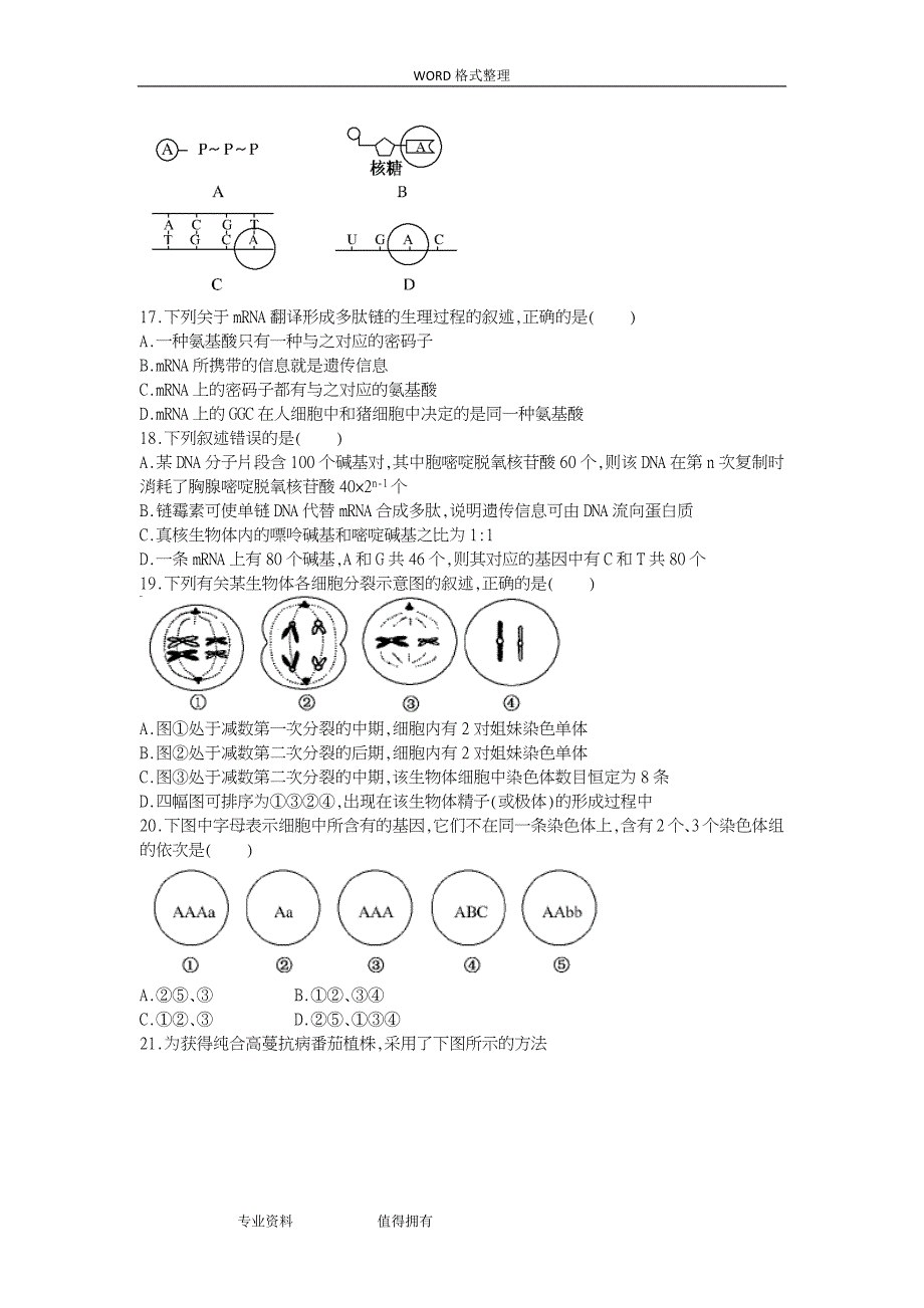 高中二年级生物必修一必修二综合测试题_第3页