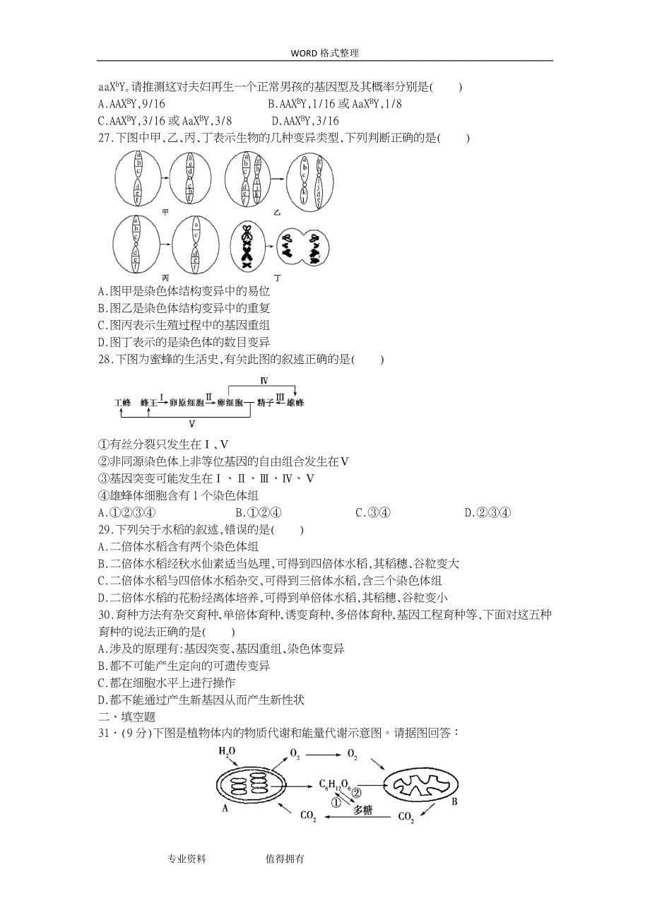 高中二年级生物必修一必修二综合测试题_第5页