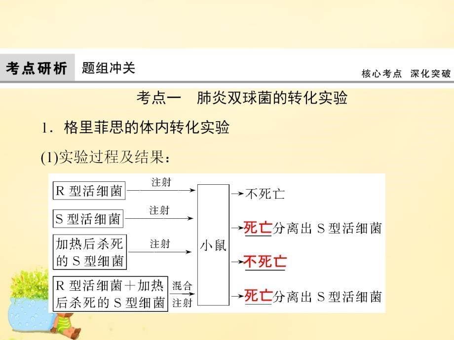 高考生物大一轮复习_第六章 遗传的分子基础 第1讲 dna是主要的遗传物质课件_第5页