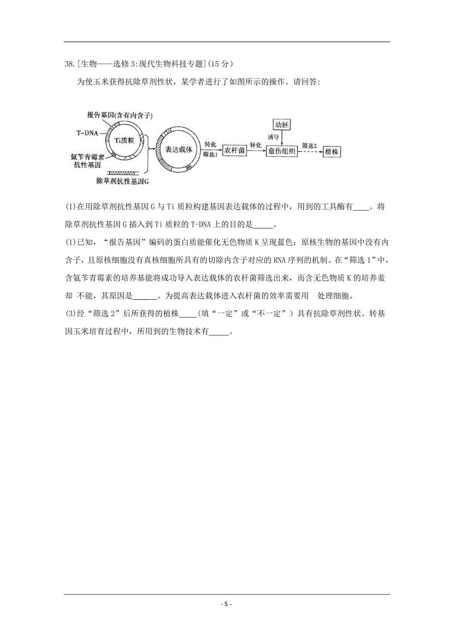 河南省八市重点高中联盟“领军考试”2019届高三第五次测评试题  理科综合--生物 Word版含解析_第5页