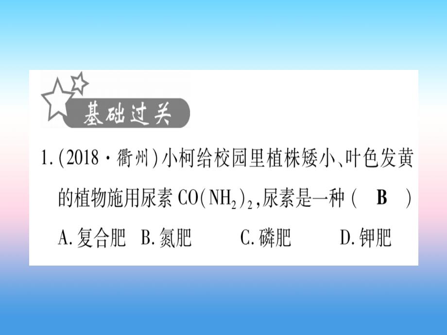 （甘肃专用）2019中考化学_第11单元 盐 化肥（提分精练）课件_第2页