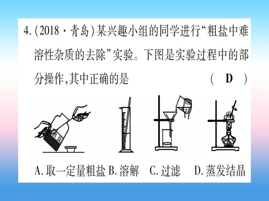 （甘肃专用）2019中考化学_第11单元 盐 化肥（提分精练）课件_第5页