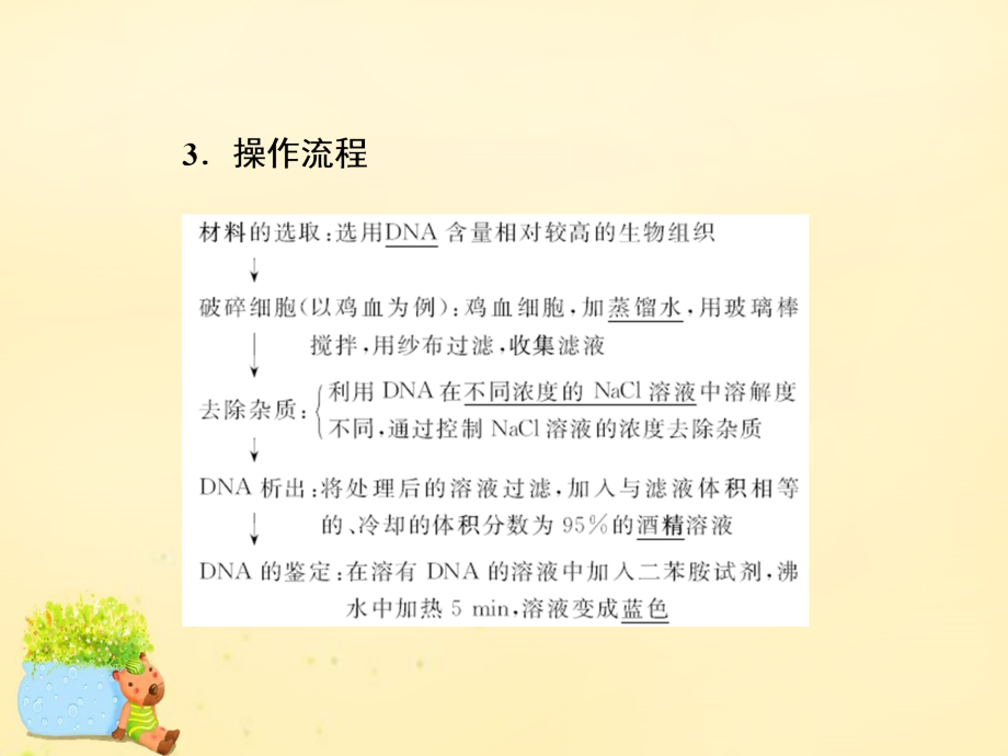 高考生物一轮复习_生物技术实践 第4讲 dna和蛋白质技术、植物有效成分的提取课件（选修1）_第4页