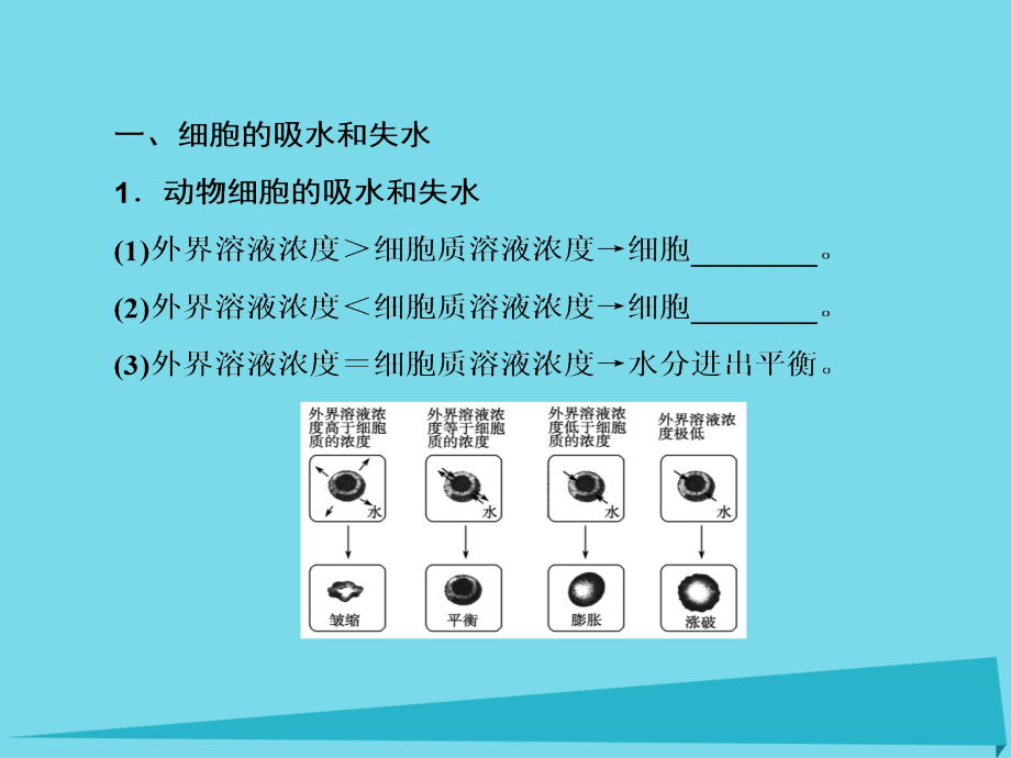 高考生物大一轮复习_第二单元 细胞的基本结构和物质输入和输出 第7讲 细胞的物质输入和输出课件 新人教版_第3页