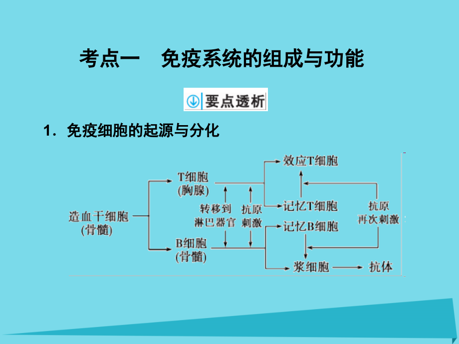 高考生物一轮复习_第八单元 生命活动的调节 第28讲 免疫调节课件_2_第2页