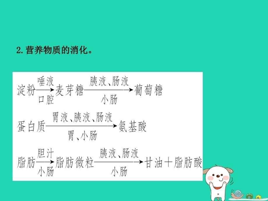 （江西专版）2019中考生物_第2部分 专题五 人体的代谢复习课件_第5页