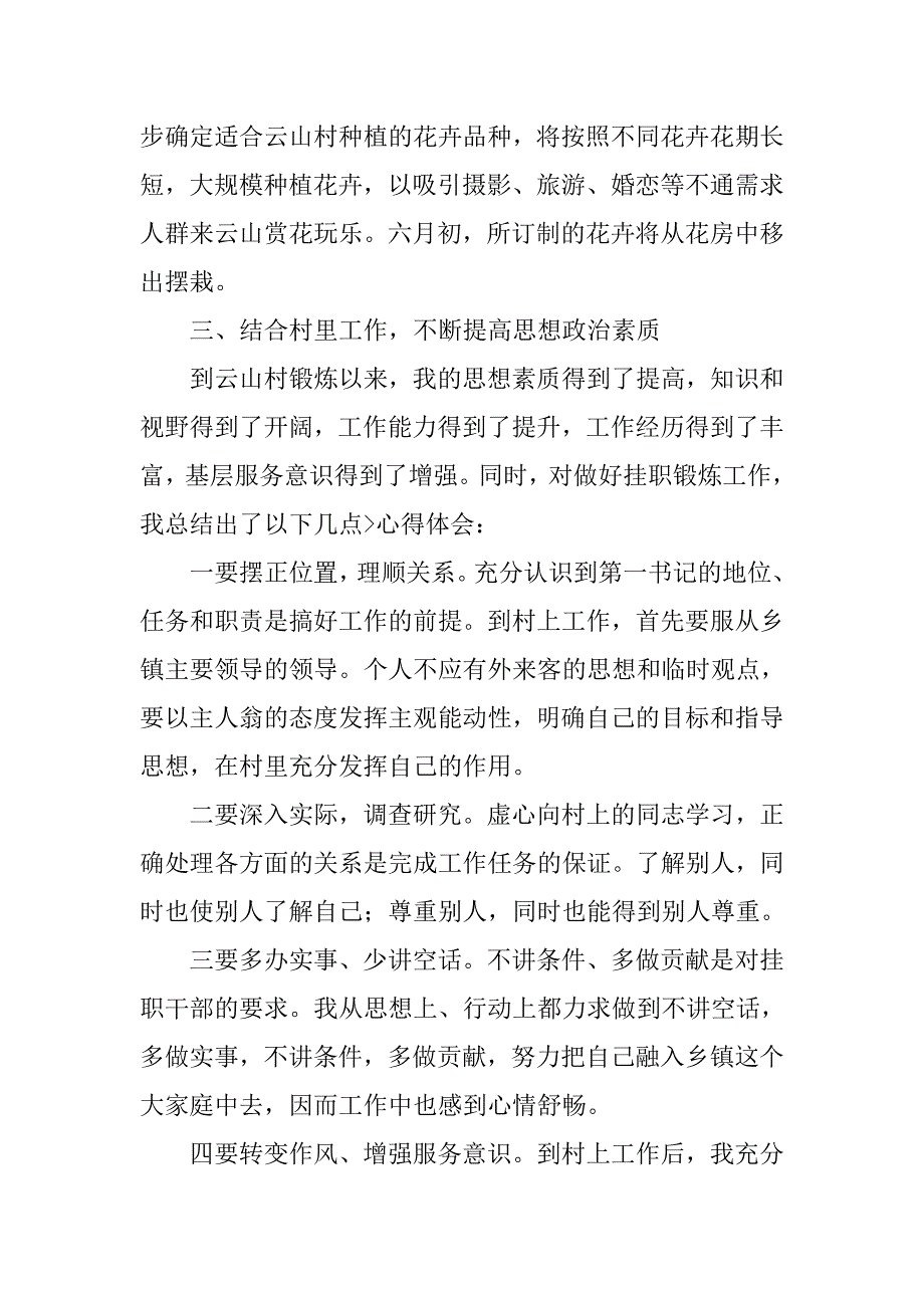 xx年第一书记述职报告.doc_第4页