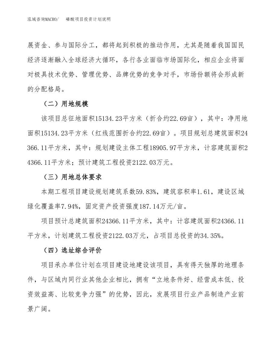 磷酸项目投资计划说明.docx_第5页