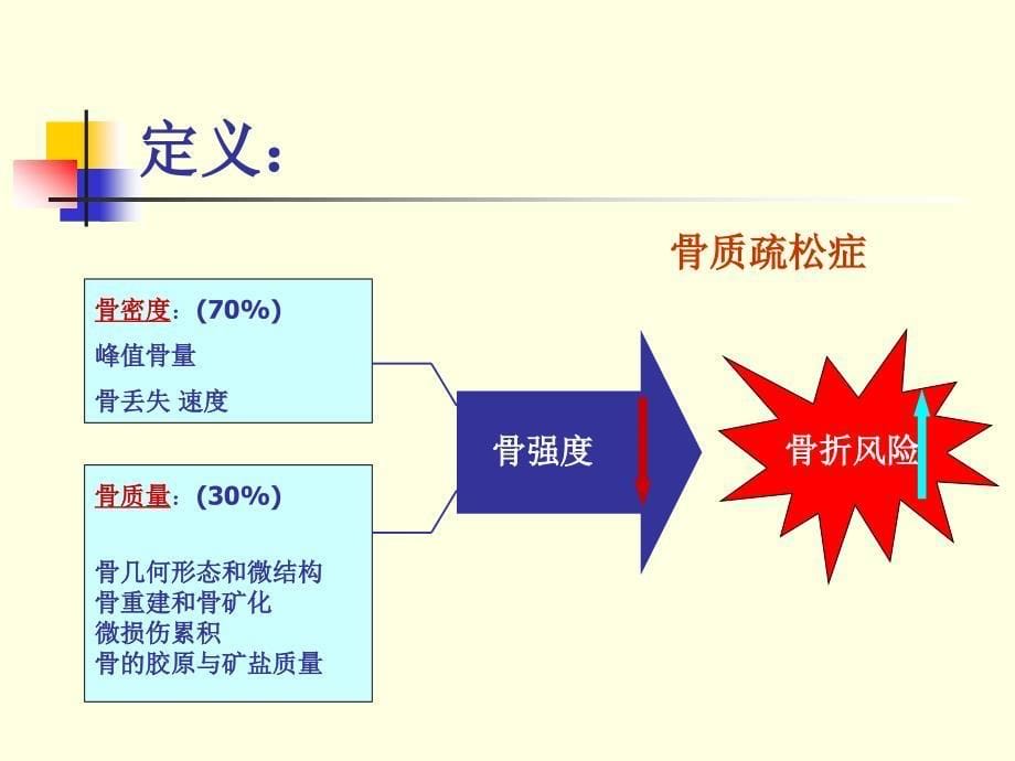 骨质疏松症诊疗指南_第5页