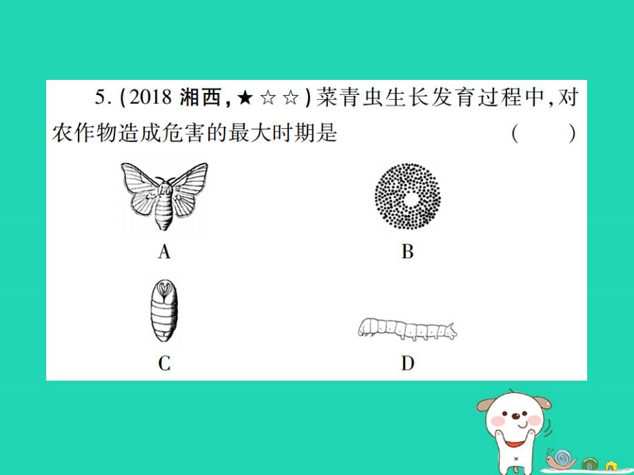 （江西专版）2019年中考生物总复习_七 生物的生殖、发育与遗传（动物的生殖和发育）教材整理课件_第4页