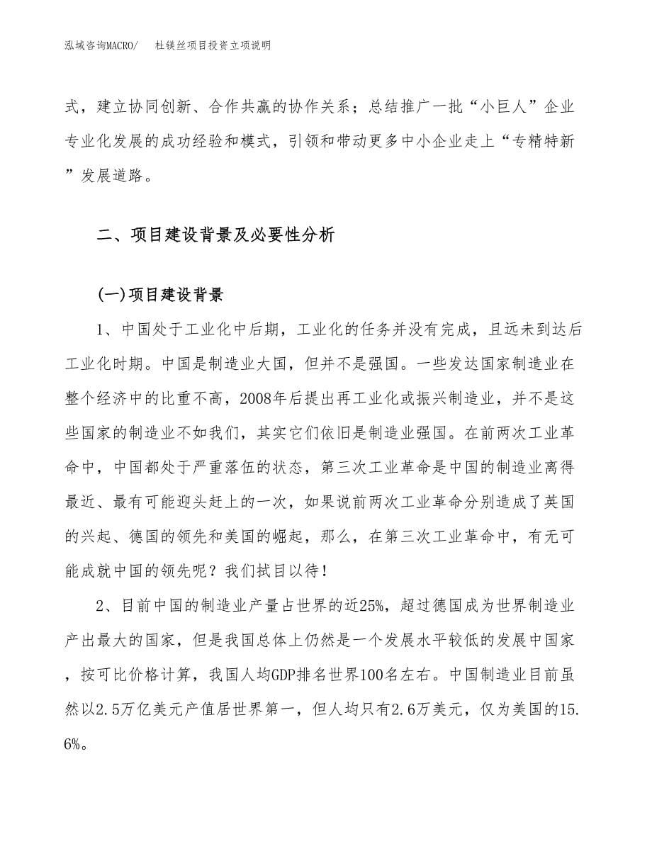 杜镁丝项目投资立项说明.docx_第5页