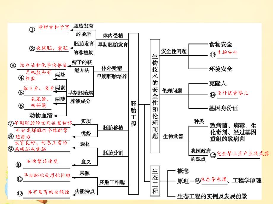 （新课标）高考生物二轮复习_专题9 现代生物科技专题 2 胚胎工程、生态工程及生物技术的安全性与伦理问题课件_第3页