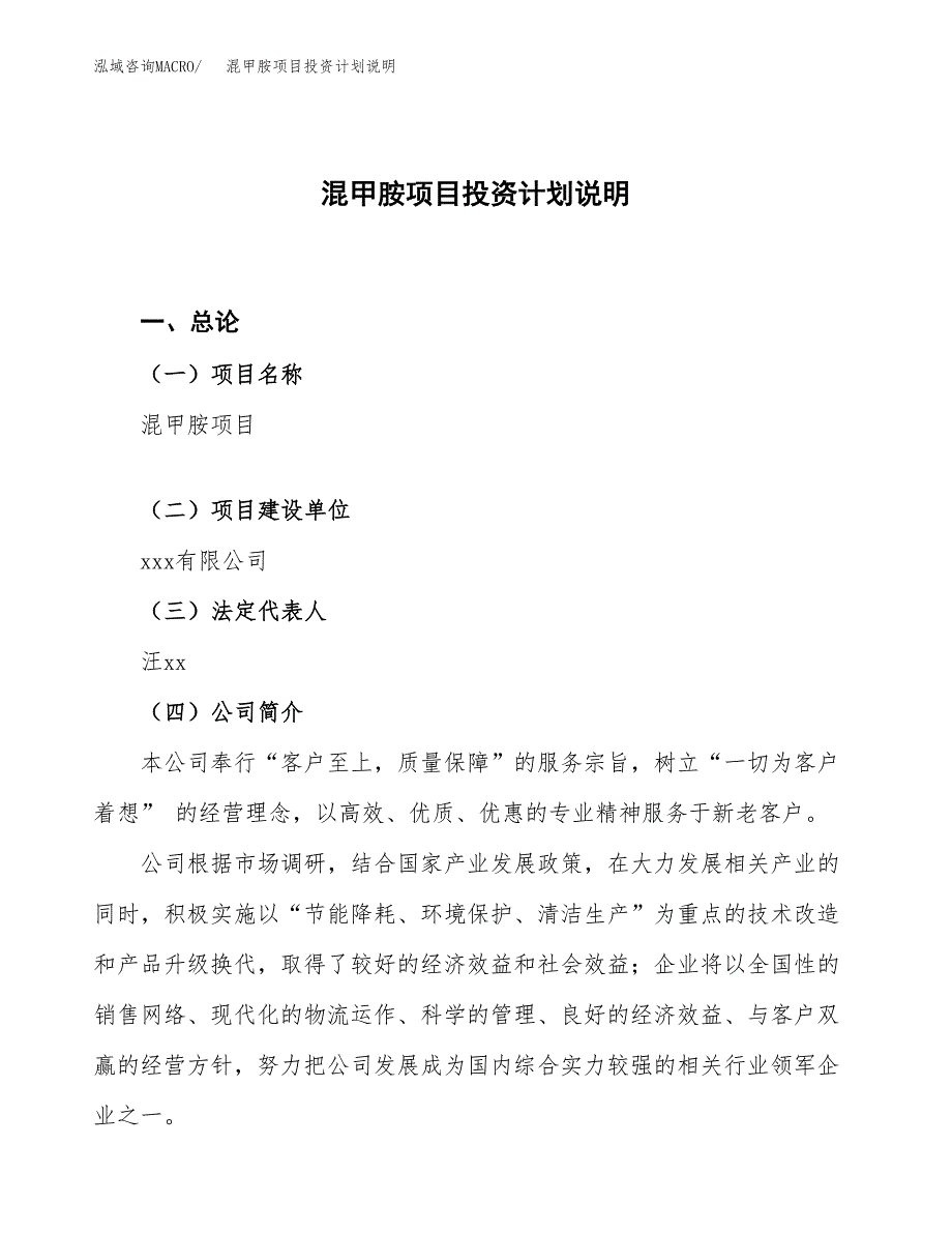 混甲胺项目投资计划说明.docx_第1页