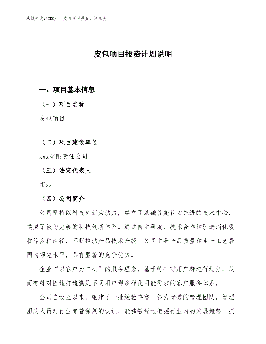 皮包项目投资计划说明.docx_第1页