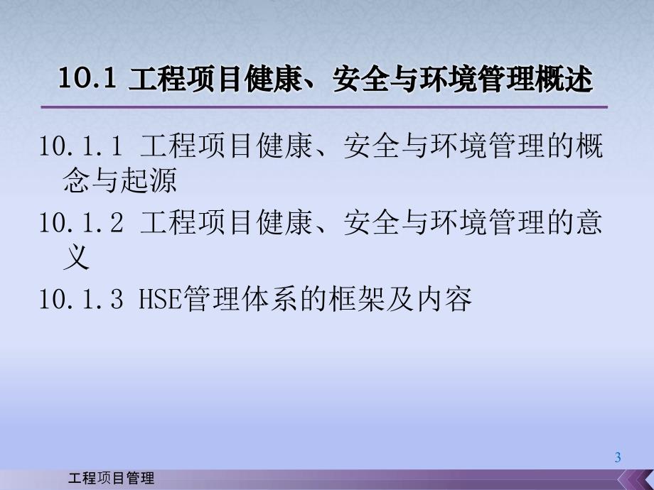 工程项目管理王雪青杨秋波第10章节工程项目健康安全与环境管理_第3页