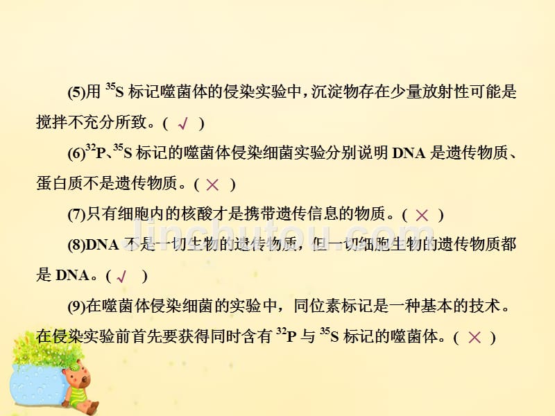 高考生物一轮复习_第七单元 基因的本质和表达课件_第3页