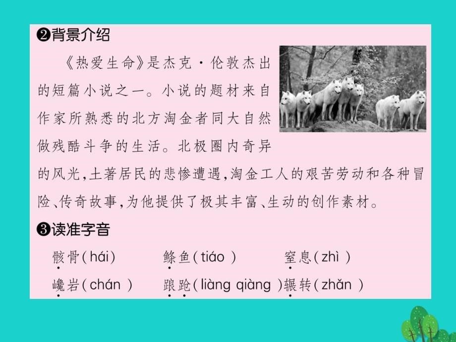 （贵阳专版）九年级语文下册_第二单元 8《热爱生命（节选）》课件 （新版）新人教版_第5页