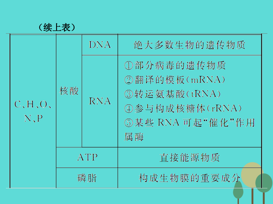 高考生物一轮复习_第1单元 走近细胞和组成细胞的分子 第2讲 细胞中的元素及无机化合物课件_第4页