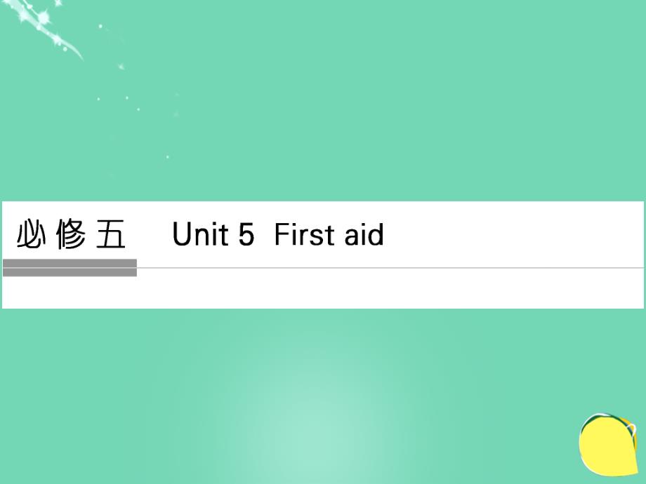 （全国）高考英语一轮复习 unit 5 first aid课件 新人教版必修5_第1页