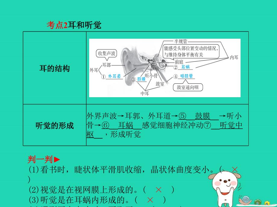 （聊城专版）2018年中考生物_第一部分 系统复习 成绩基石 第4单元 第6、7章 人体生命活动的调节和人类活动对生物圈的影响课件_第3页