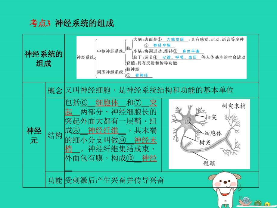 （聊城专版）2018年中考生物_第一部分 系统复习 成绩基石 第4单元 第6、7章 人体生命活动的调节和人类活动对生物圈的影响课件_第4页