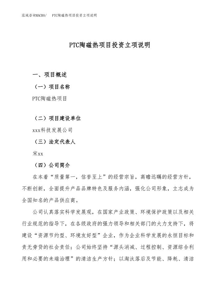 PTC陶磁热项目投资立项说明.docx