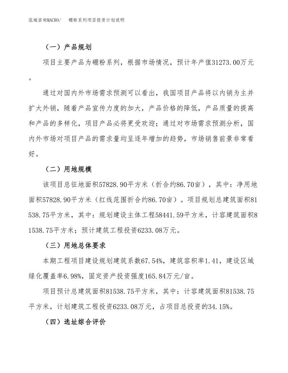 硼粉系列项目投资计划说明.docx_第5页