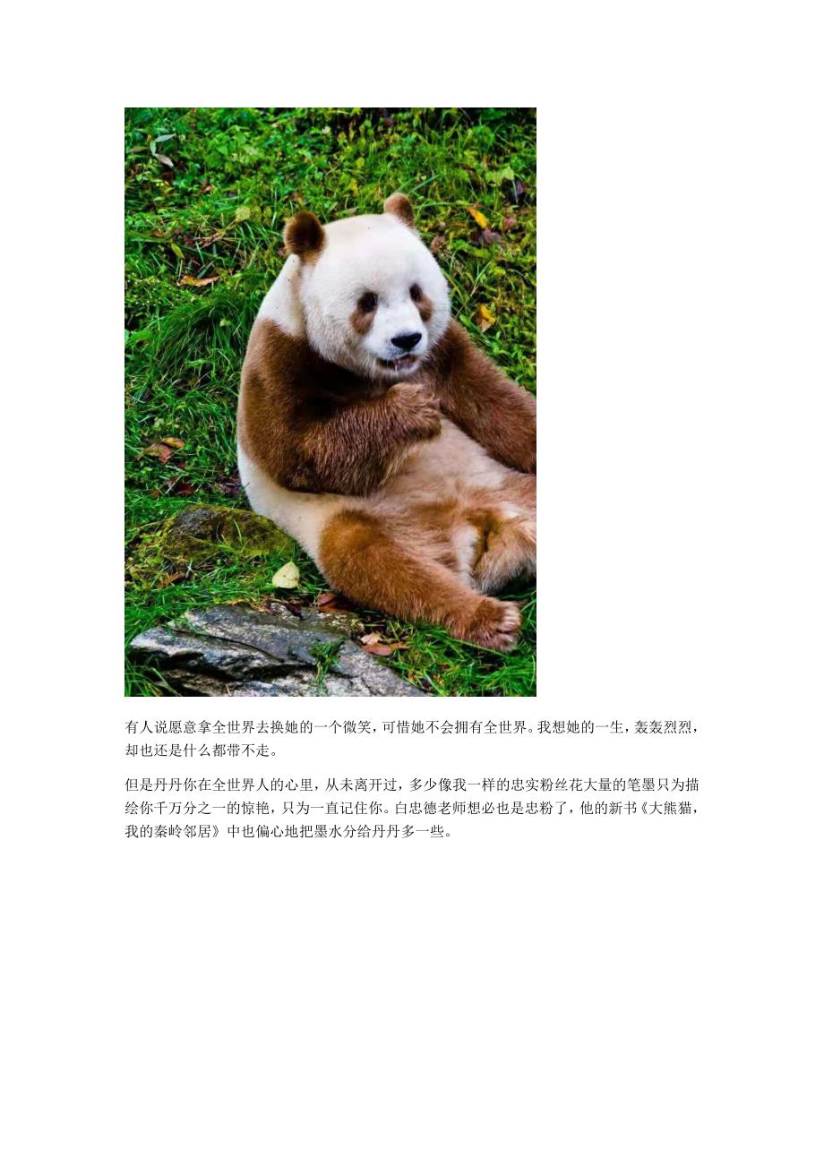 纪念我心目中动物界的赫本，大熊猫丹丹_第2页