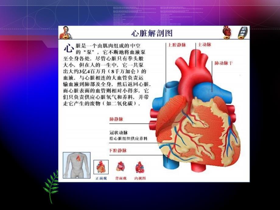 瓣膜替换术的术中配合_第2页