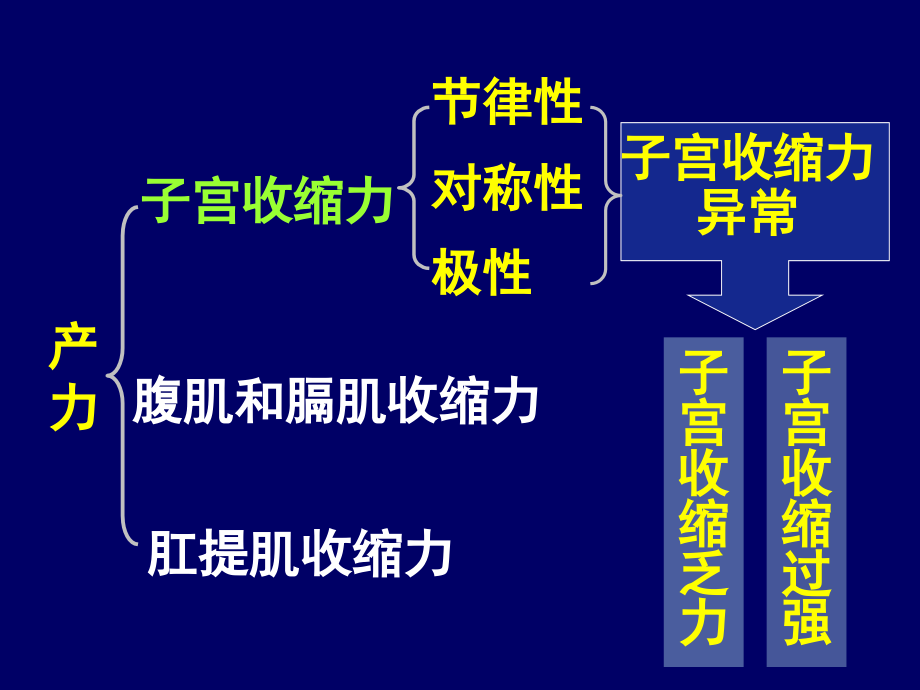 妇产科护理课件-产力异常_第4页