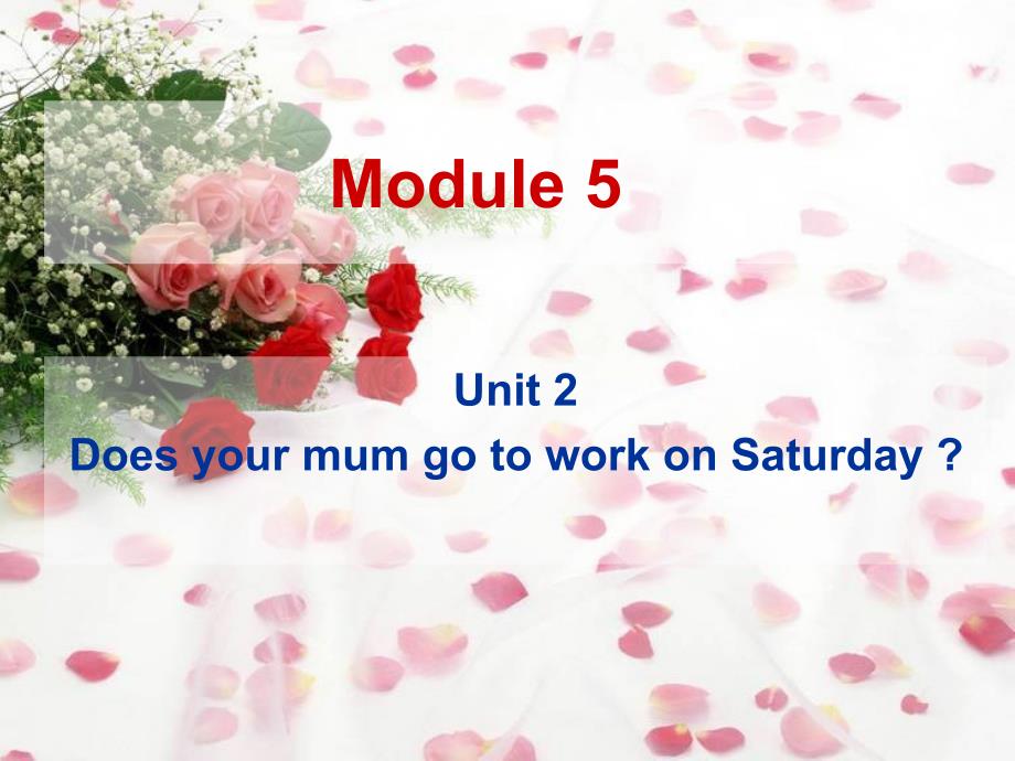 module-5unit2does-your-mum-go-to-work-on-saturdays？_第1页
