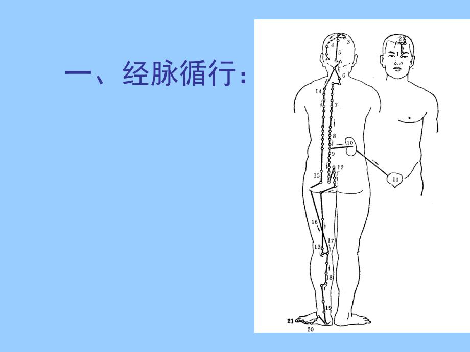 上篇-经络腧穴各论-膀胱穴_第4页