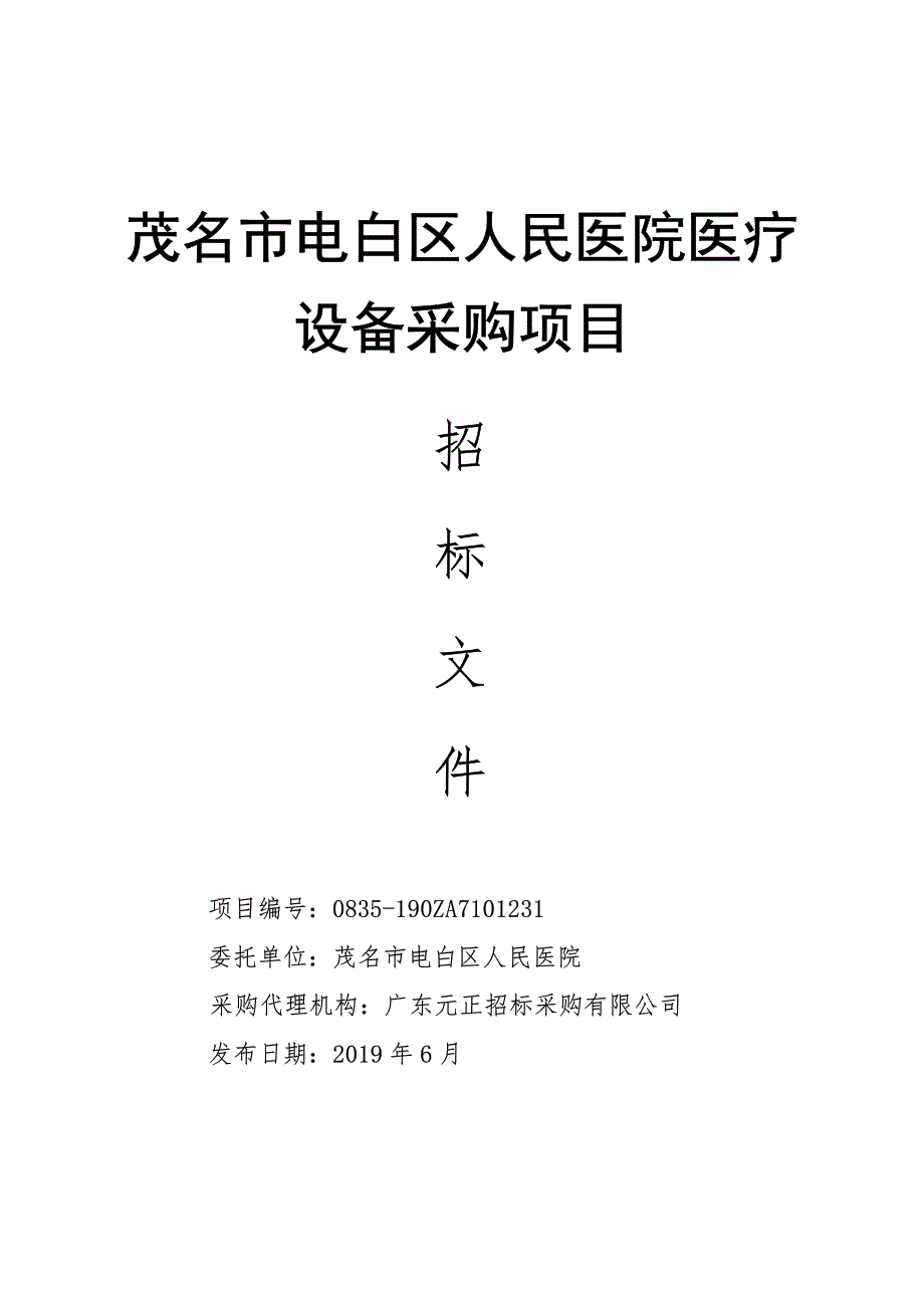 茂名市电白区人民医院医疗设备采购项目招标文件_第1页