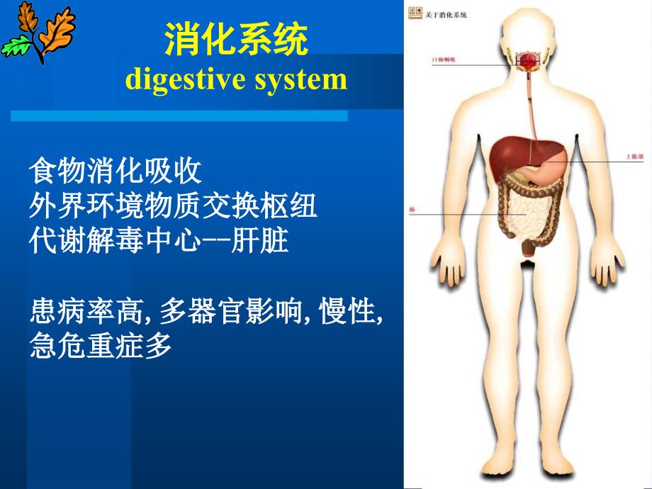 病理学---七年制消化系统疾病_第2页