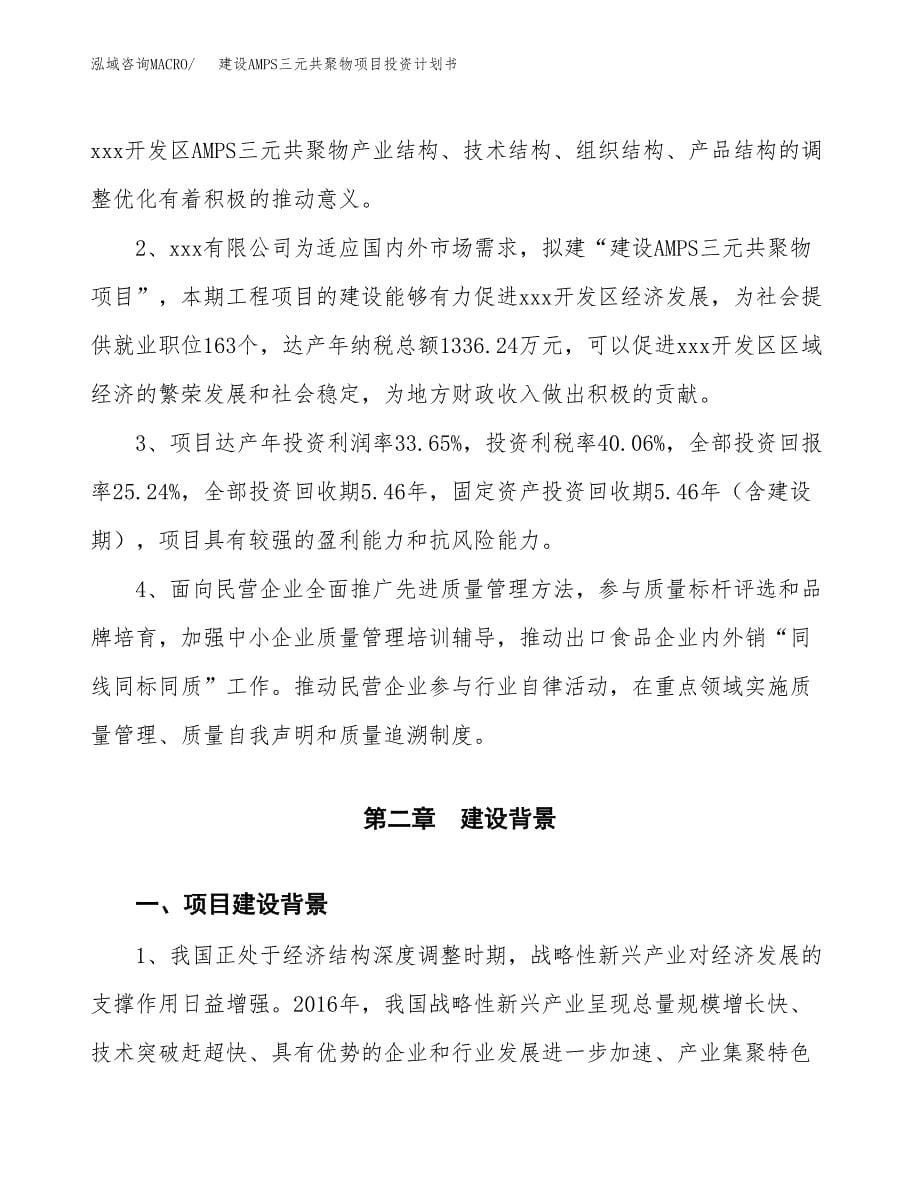 建设AMPS三元共聚物项目投资计划书方案.docx_第5页