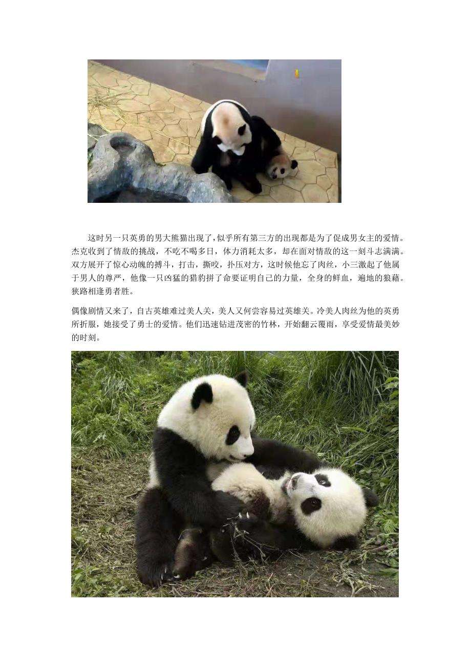 大熊猫，冲冠一怒为红颜_第2页