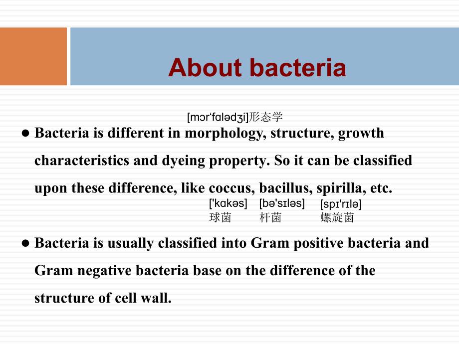 chapter-42-antimicrobial-agents_第4页