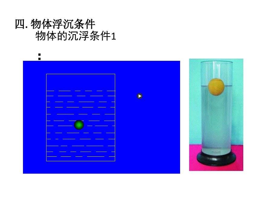 八年级物理下册10.3物体的浮沉条件及应用课件(最新修改)._第5页