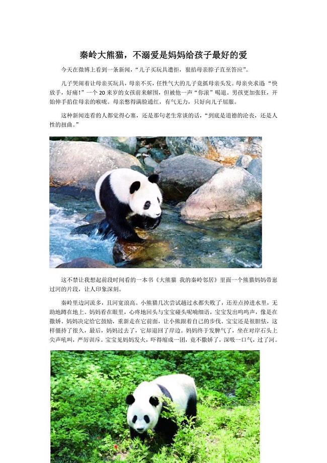 大熊猫，不溺爱是妈妈给孩子最好的爱