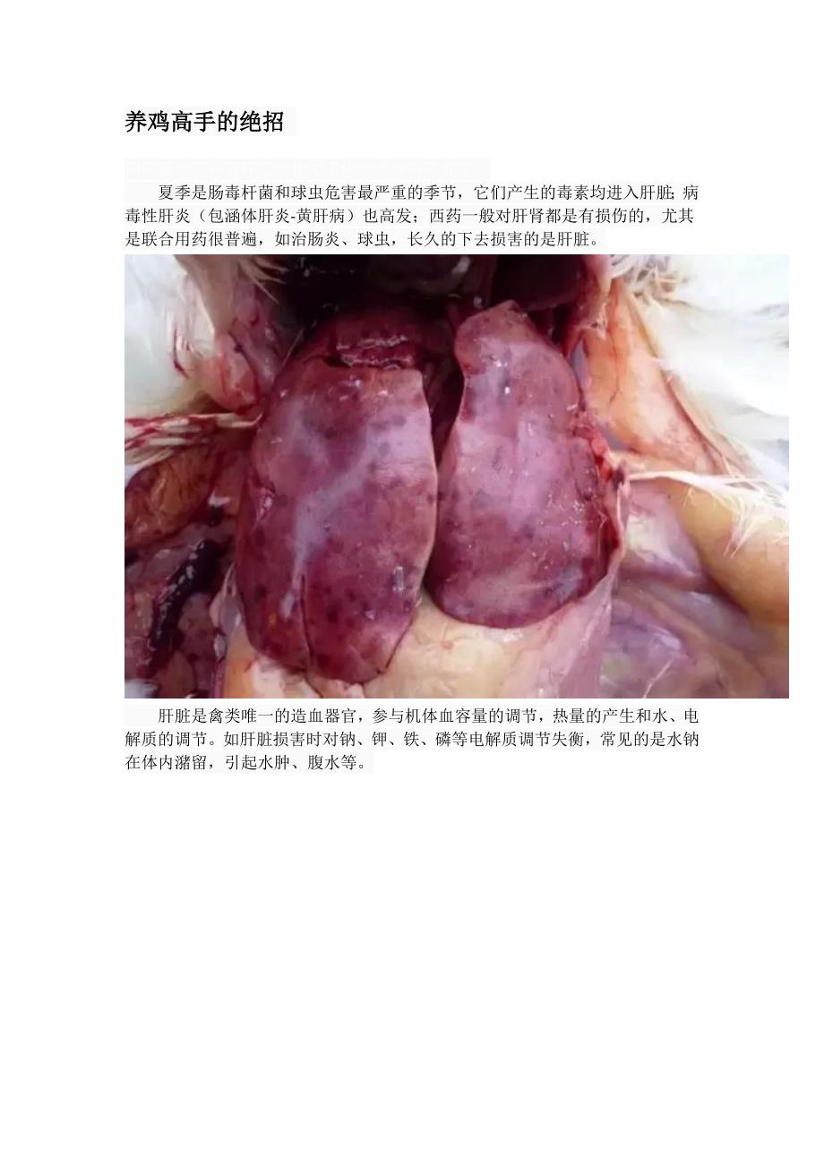 养鸡高手的绝招_第1页