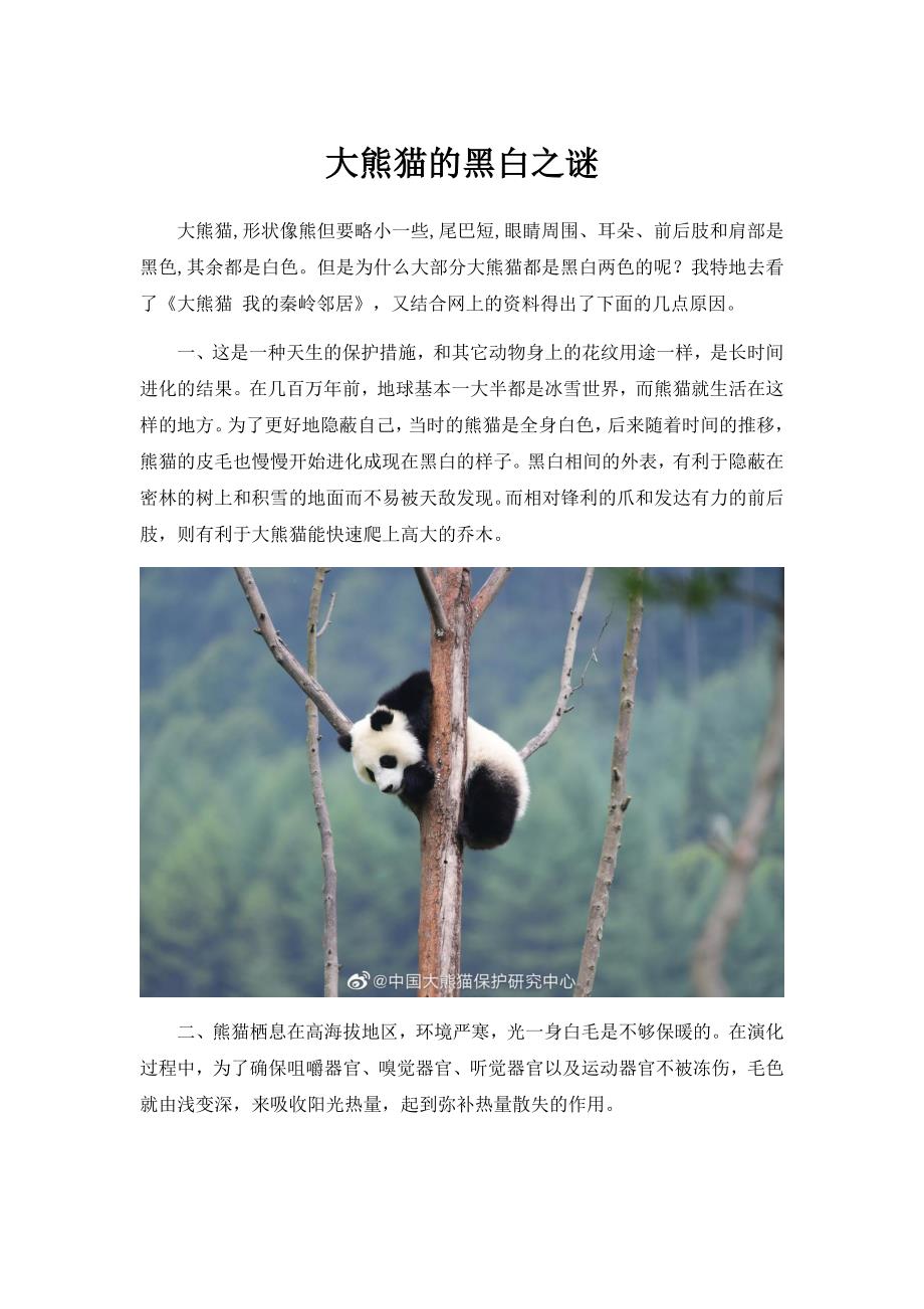 大熊猫的黑白之谜_第1页