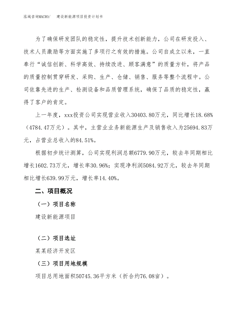 建设新能源项目投资计划书方案.docx_第2页